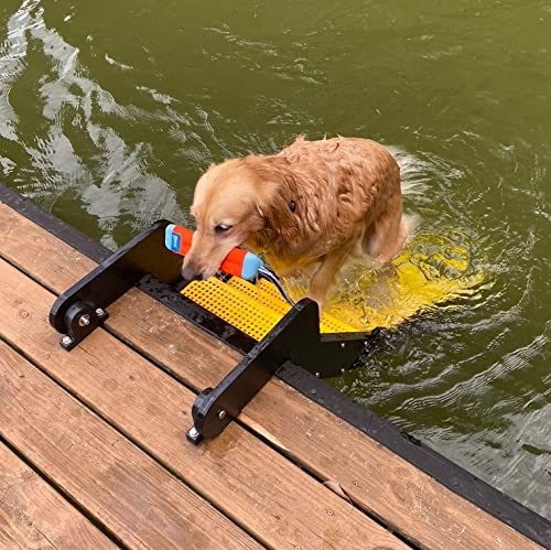 Golden retriever dog climbing a folding staircase from a lake onto a dock.