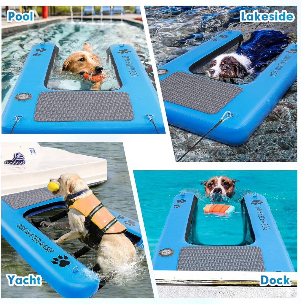 Four pictures of a dog on a dog ramp, also called dog stairs.  The dog ramps are installed in a pool, on a lakeshore, attached to a boat, and attached to a dock.