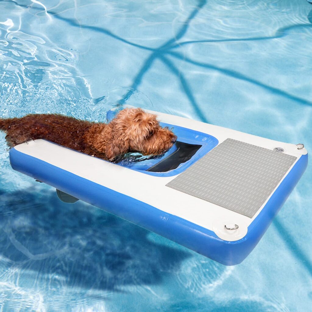 dog using an inflatable water ramp for dogs in a swimming pool